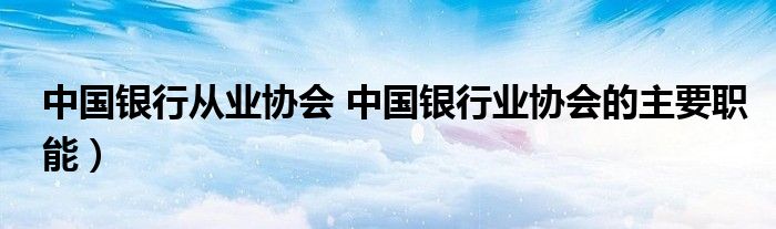 中国银行从业协会 中国银行业协会的主要职能）