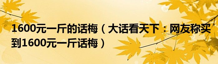 1600元一斤的话梅（大话看天下：网友称买到1600元一斤话梅）