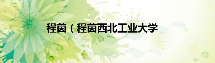 程茵（程茵西北工业大学
