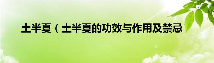 土半夏（土半夏的功效与作用及禁忌