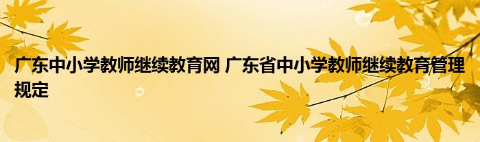 广东中小学教师继续教育网 广东省中小学教师继续教育管理规定