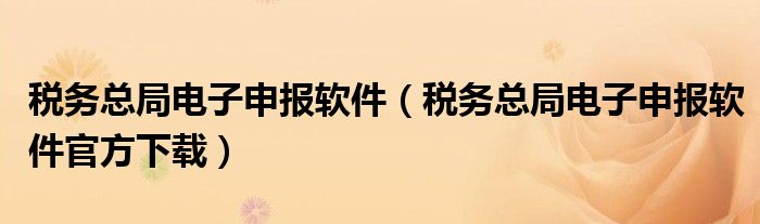 税务总局电子申报软件（税务总局电子申报软件官方下载）