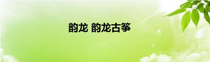 韵龙 韵龙古筝