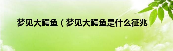 梦见大鳄鱼（梦见大鳄鱼是什么征兆