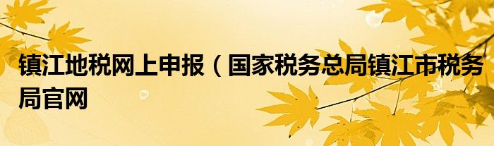 镇江地税网上申报（国家税务总局镇江市税务局官网