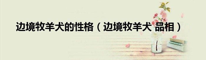 边境牧羊犬的性格（边境牧羊犬 品相）