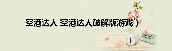 空港达人 空港达人破解版游戏）