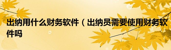 出纳用什么财务软件（出纳员需要使用财务软件吗