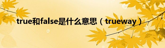 true和false是什么意思（trueway）