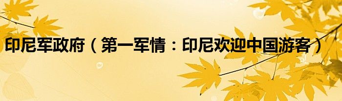 印尼军政府（第一军情：印尼欢迎中国游客）