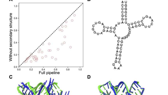 基于AI的新颖方法可实现更准确的RNA3D结构预测