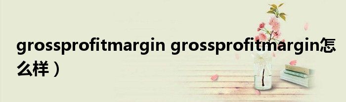 grossprofitmargin grossprofitmargin怎么样）