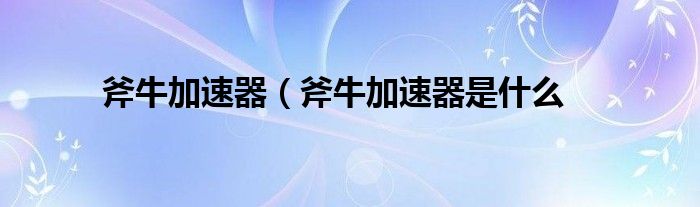 斧牛加速器（斧牛加速器是什么