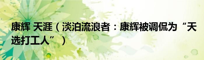 康辉 天涯（淡泊流浪者：康辉被调侃为“天选打工人”）
