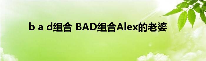 b a d组合 BAD组合Alex的老婆