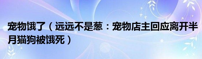 宠物饿了（远远不是葱：宠物店主回应离开半月猫狗被饿死）