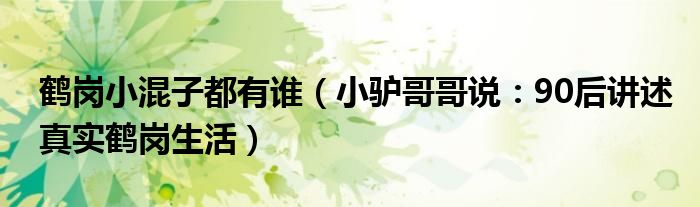 鹤岗小混子都有谁（小驴哥哥说：90后讲述真实鹤岗生活）