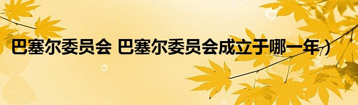 巴塞尔委员会 巴塞尔委员会成立于哪一年）