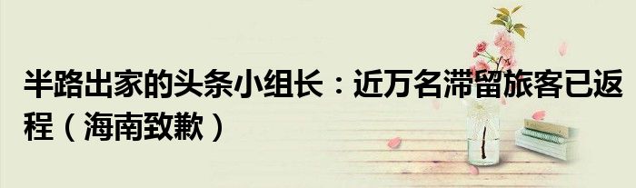 半路出家的头条小组长：近万名滞留旅客已返程（海南致歉）