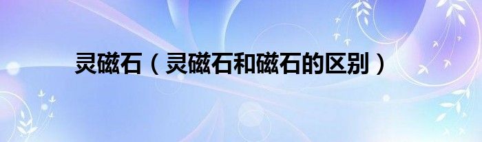 灵磁石（灵磁石和磁石的区别）