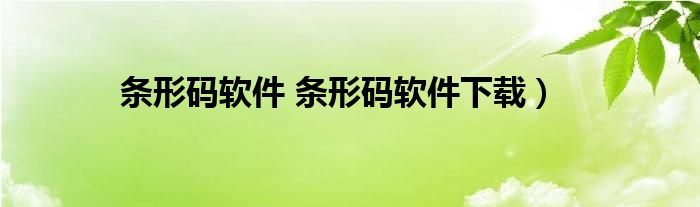 条形码软件 条形码软件下载）