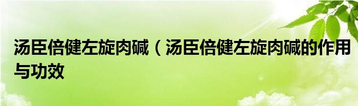 汤臣倍健左旋肉碱（汤臣倍健左旋肉碱的作用与功效