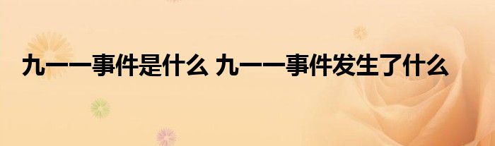 九一一事件是什么 九一一事件发生了什么