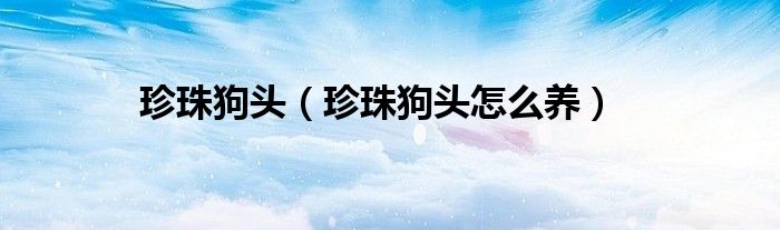 珍珠狗头（珍珠狗头怎么养）