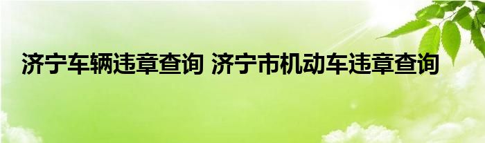 济宁车辆违章查询 济宁市机动车违章查询