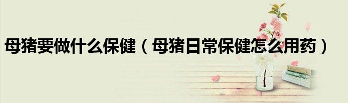 母猪要做什么保健（母猪日常保健怎么用药）