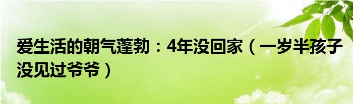 爱生活的朝气蓬勃：4年没回家（一岁半孩子没见过爷爷）