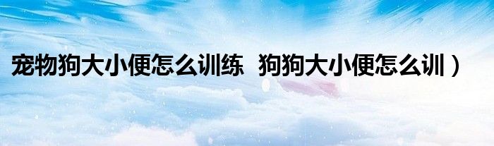 宠物狗大小便怎么训练  狗狗大小便怎么训）