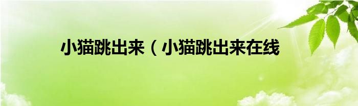 小猫跳出来（小猫跳出来在线