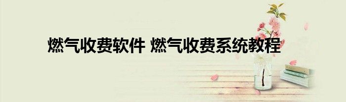 燃气收费软件 燃气收费系统教程