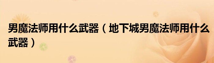 男魔法师用什么武器（地下城男魔法师用什么武器）