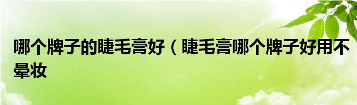 哪个牌子的睫毛膏好（睫毛膏哪个牌子好用不晕妆
