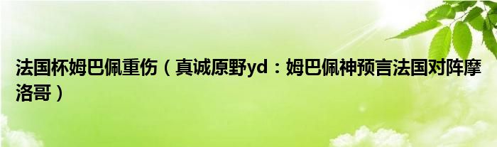 法国杯姆巴佩重伤（真诚原野yd：姆巴佩神预言法国对阵摩洛哥）