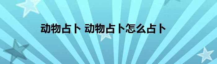 动物占卜 动物占卜怎么占卜