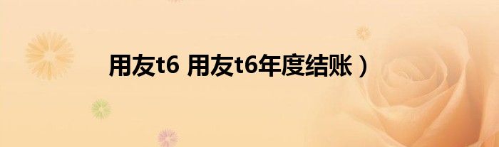 用友t6 用友t6年度结账）