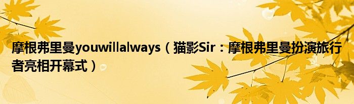 摩根弗里曼youwillalways（猫影Sir：摩根弗里曼扮演旅行者亮相开幕式）