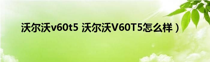 沃尔沃v60t5 沃尔沃V60T5怎么样）