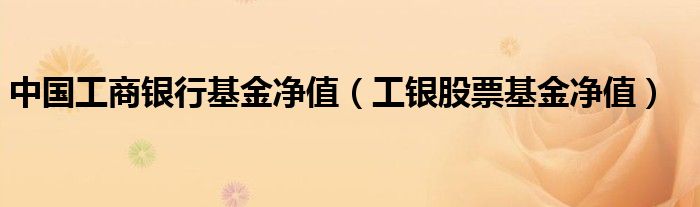 中国工商银行基金净值（工银股票基金净值）