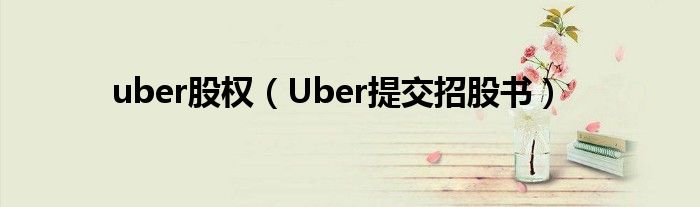 uber股权（Uber提交招股书）