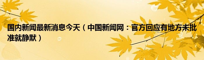 国内新闻最新消息今天（中国新闻网：官方回应有地方未批准就静默）