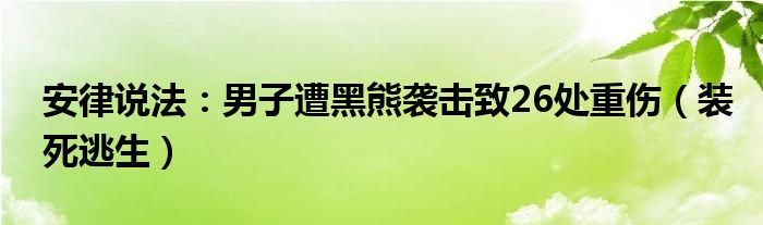安律说法：男子遭黑熊袭击致26处重伤（装死逃生）