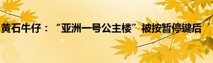 黄石牛仔：“亚洲一号公主楼”被按暂停键后