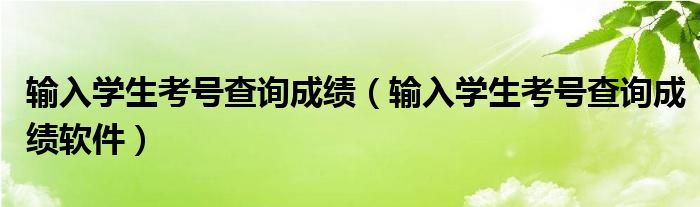 输入学生考号查询成绩（输入学生考号查询成绩软件）