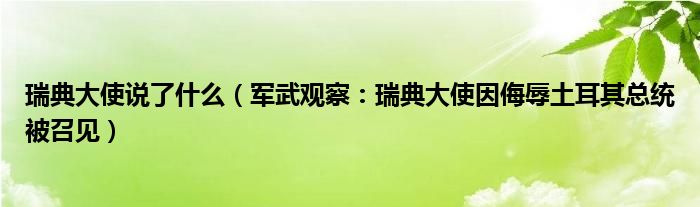 瑞典大使说了什么（军武观察：瑞典大使因侮辱土耳其总统被召见）