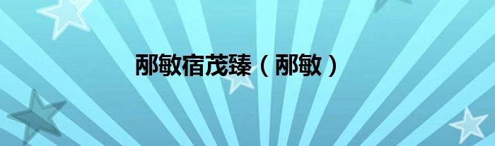 邴敏宿茂臻（邴敏）