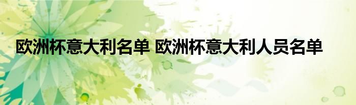 欧洲杯意大利名单 欧洲杯意大利人员名单
